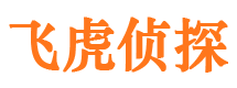 平潭市调查取证